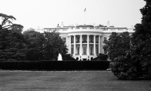 1105753_the_white_house.jpg